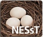 NEEsT